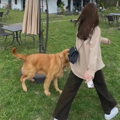 狼皮之下 海报